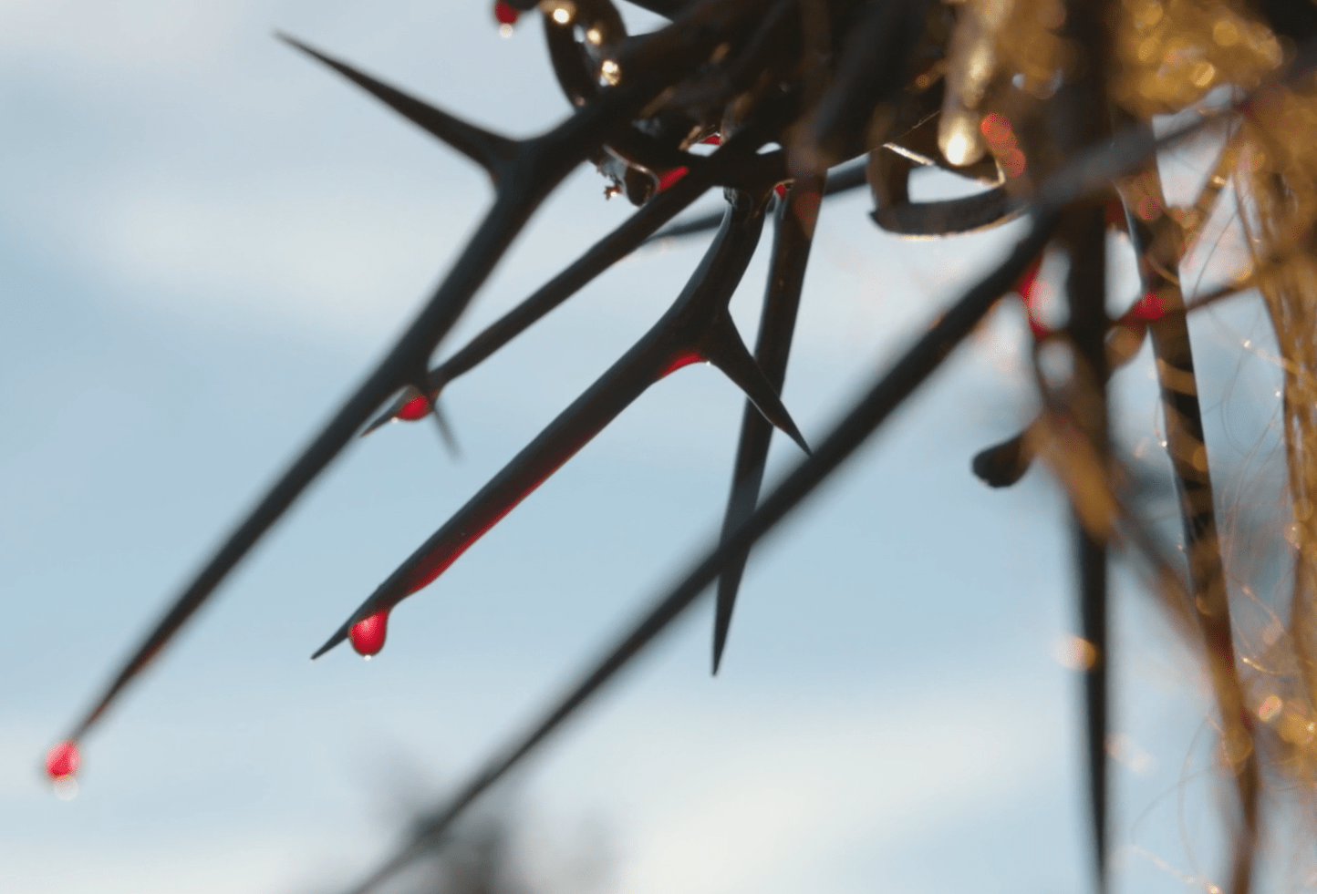 Your Attitude Towards Jesus Matters